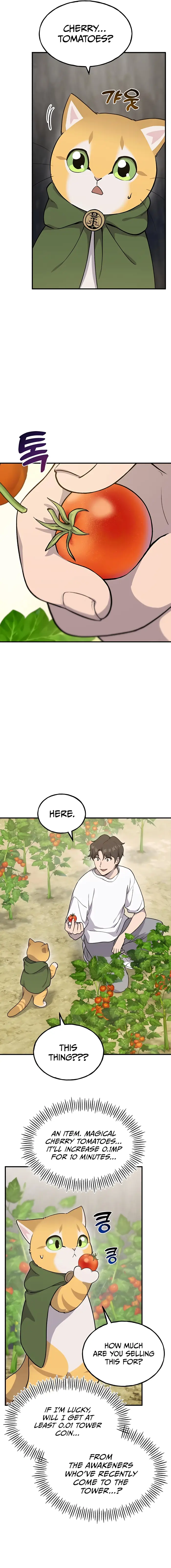 Solo Farming In The Tower - Chapter 12 image 13_optimized